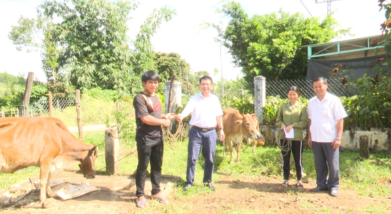 Xăng dầu Kon Tum trao tặng 20 con bò sinh sản cho các hộ nghèo
