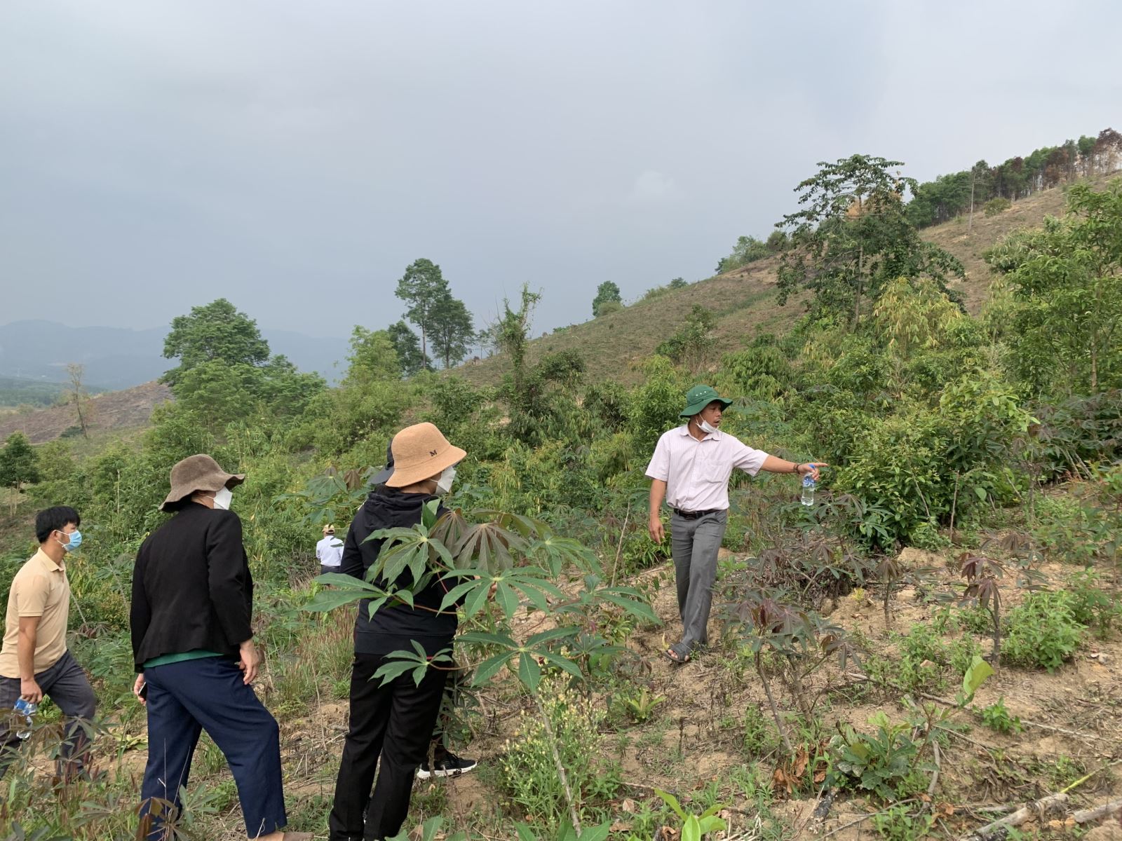 Đoàn giám sát Ban Kinh tế - Xã hội HĐND huyện giám sát việc triển khai thực hiện Dự án hỗ trợ trồng rừng sản xuất