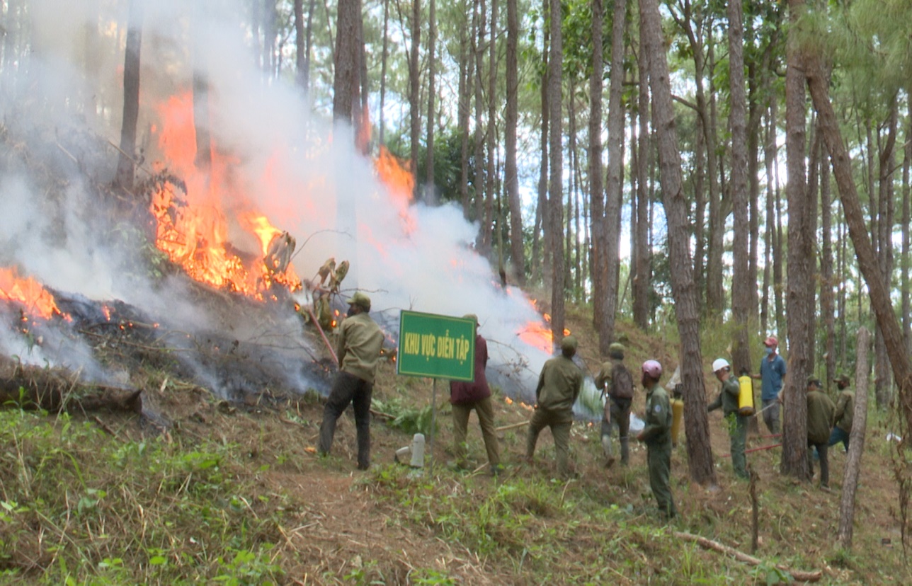 Diễn tập phòng cháy chữa cháy rừng năm 2021