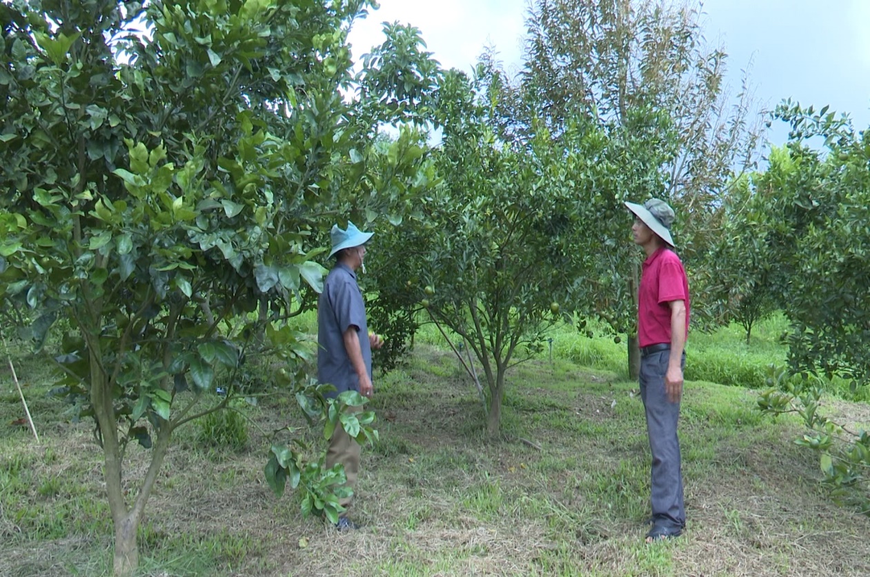 Huyện Đăk Tô phát huy hiệu quả nguồn quỹ hỗ trợ nông dân